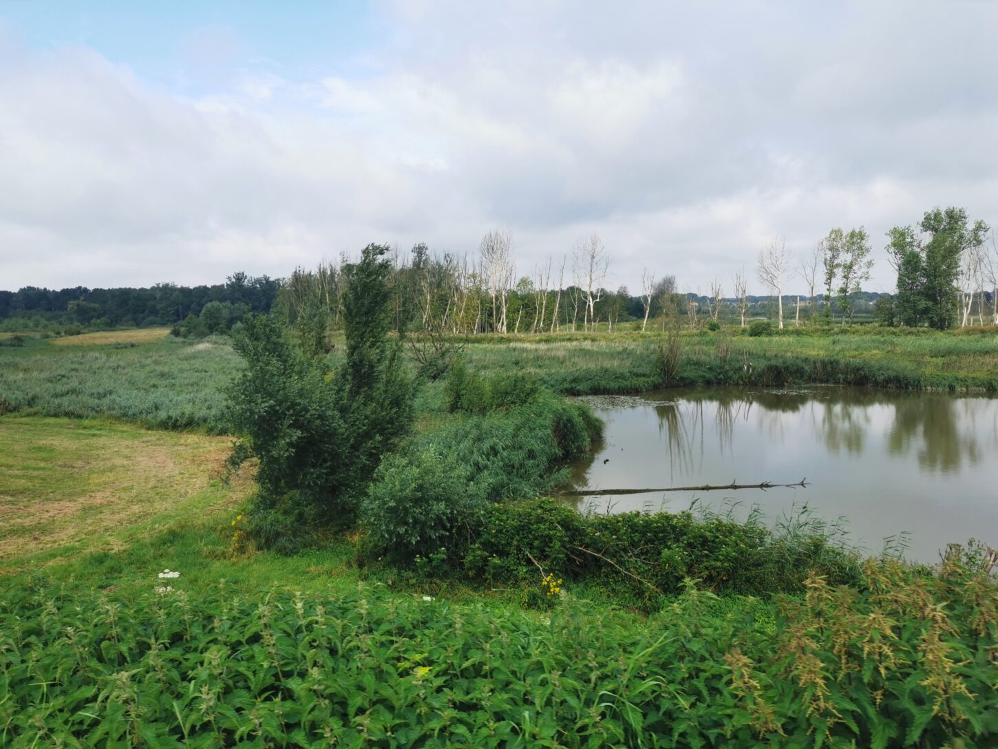 Vlaanderen beschermt watergevoelige gronden tegen bebouwing