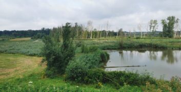 Vlaanderen beschermt watergevoelige gronden tegen bebouwing